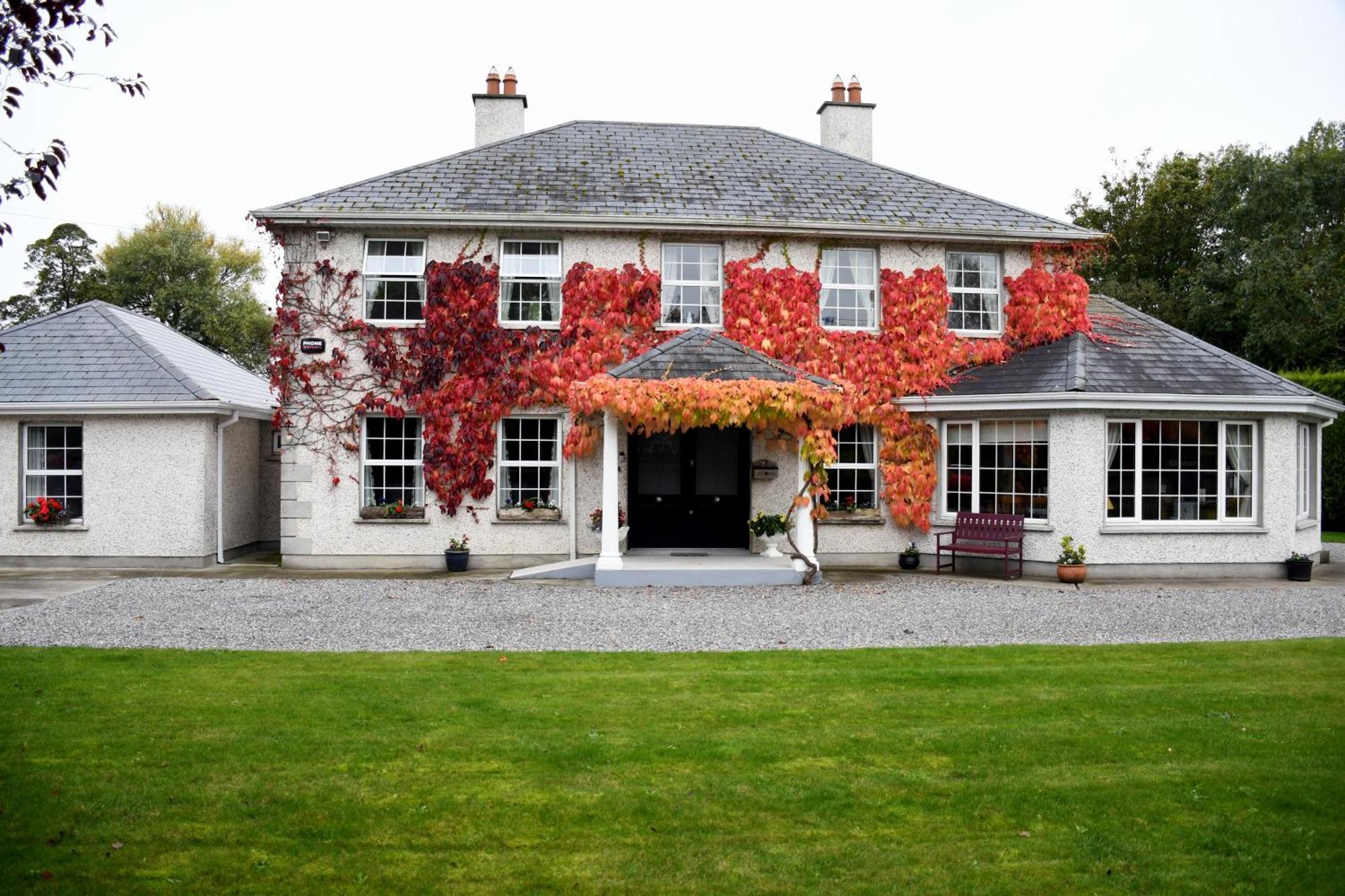 Orchard Grove Bed & Breakfast R21Rc58 Bagenalstown Экстерьер фото