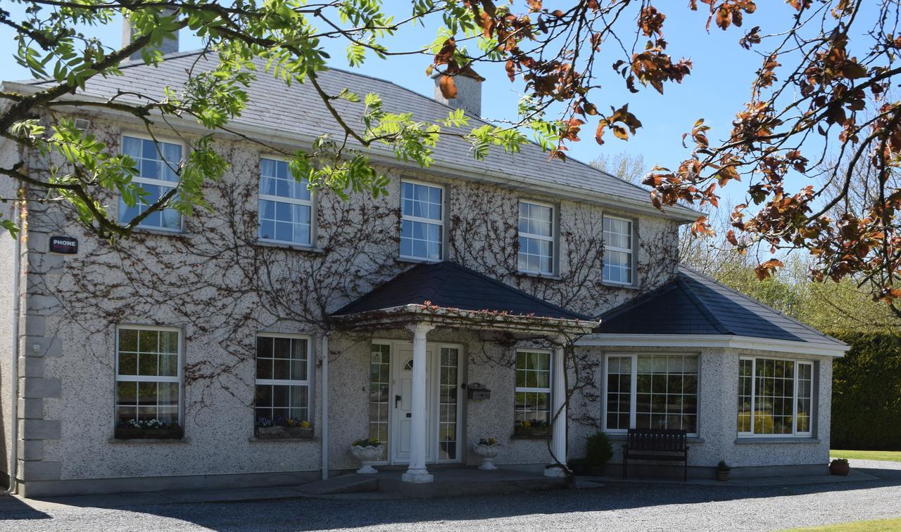 Orchard Grove Bed & Breakfast R21Rc58 Bagenalstown Экстерьер фото